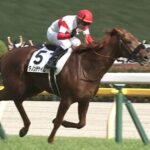 ダノンデサイル、調教後馬体重+20kg