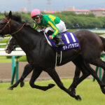 ノーザンからでしかGⅠ馬出せない種牡馬は無能