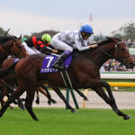 【ジャパンC】ドウデュース1週前追い切り10秒9、武豊「スピード違反で捕まるね(笑)」