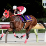 【競馬予想】[2]第41回ブリーダーズカップクラシック（G1･米）/2024