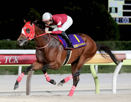 【競馬予想】[2]第41回ブリーダーズカップクラシック（G1･米）/2024