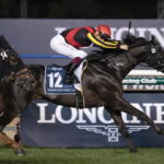 シャフリヤール 相棒Cデムーロと共に有馬記念へ!!