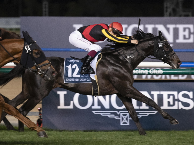 シャフリヤール　相棒Cデムーロと共に有馬記念へ！！