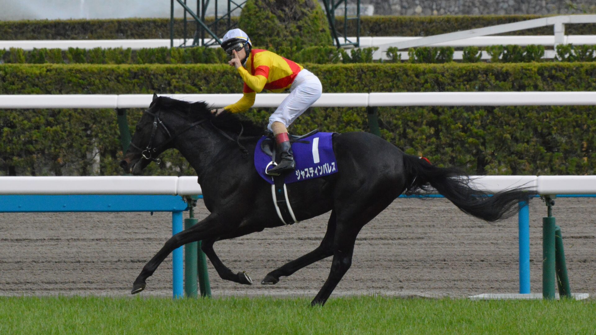 ジャスティンパレス、スターズオンアース有馬記念へ