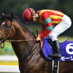 モーリス産駒 マイルCS3頭出しで全滅