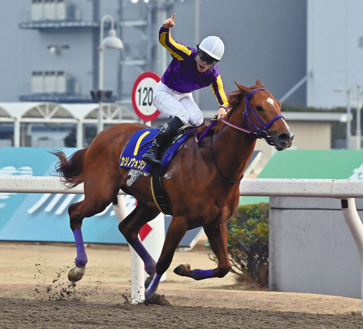 そろそろ引退させてやれよ…って馬