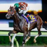 ルメール、地方馬ミックファイアを強奪