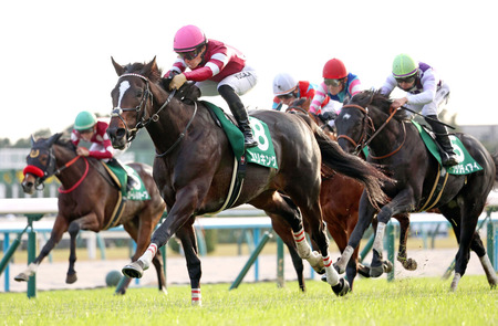 【京都2歳S】1番人気エリキング無傷３連勝で重賞初制覇