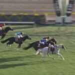 【競馬】アルゼンチン共和国杯は吉田豊騎乗のハヤヤッコがV