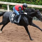 【2歳新馬】福永厩舎の3億円馬アスクセクシーモアがデビュー 鞍上は武豊