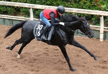 【2歳新馬】福永厩舎の3億円馬アスクセクシーモアがデビュー 鞍上は武豊