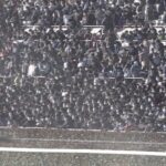 【競馬】キタサンブラックの妹テーオーメーテル弱すぎワロタwwwww