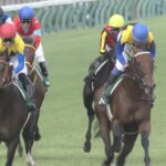 【競馬】東京5R・単勝1.3倍パルフェクォーツで死亡奴wwwwwww