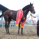 チャンピオンズカップ(G1)、6年連続の外国馬出走なしが決定