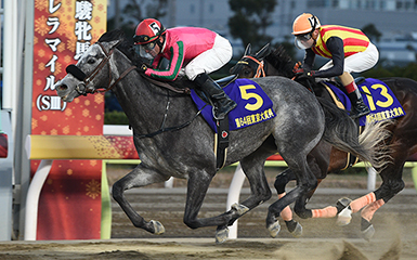 どうして東京大賞典がチャンピオンズCに勝てたのか