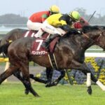【京王杯2歳S】8番人気のパンジャタワーが直線差し切りV!重賞初制覇