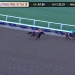 【ブリーダーズカップジュベナイル2024】結果・動画/シチズンブルが逃げ切る