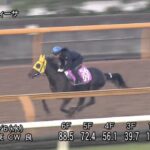 【デイリー杯2歳ステークス2024】追い切り/動きを見極め勝利に近づけ