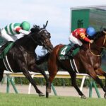 【競馬予想】[2]第49回エリザベス女王杯(GⅠ) /2024