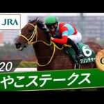 2020年 みやこステークス(GⅢ) | クリンチャー | JRA公式
