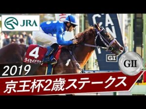2019年 京王杯2歳ステークス（GⅡ） | タイセイビジョン | JRA公式