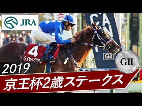 2019年 京王杯2歳ステークス（GⅡ） | タイセイビジョン | JRA公式