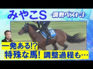 「ここで勝てば今後…」オメガギネス、サンライズジパング、ミトノオー・・・競馬エイト・高橋賢司トラックマンの調教解説＜みやこステークス(ＧⅢ)＞