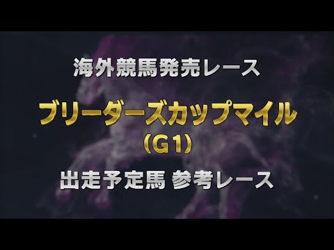 【参考レース】2024ブリーダーズカップマイル｜JRA公式