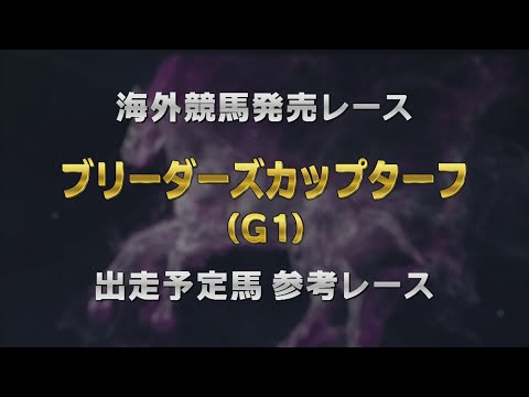 【参考レース】2024ブリーダーズカップターフ｜JRA公式