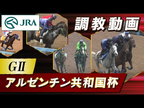 【調教動画】2024年 アルゼンチン共和国杯｜JRA公式