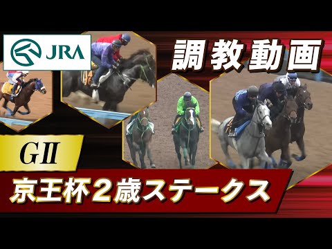 【調教動画】2024年 京王杯2歳ステークス｜JRA公式