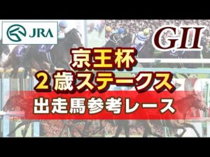 【参考レース】2024年 京王杯2歳ステークス｜JRA公式