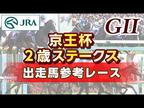 【参考レース】2024年 京王杯2歳ステークス｜JRA公式