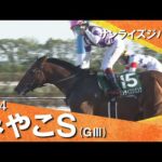 2024年 みやこステークス(GⅢ) サンライズジパング 実況:石田一洋【カンテレ公式】