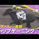 ストップヤーニングが断トツの上がりで2馬身半差V!長岡騎手JRA100勝達成「いい競馬だった」 2024年 11月2日(土)2歳新馬 京都ダート1400m 実況:服部優陽【カンテレ公式】