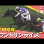 サウンドサンライズが荒れた馬場もろともせず直線突き抜けデビュー勝ち!浜中騎手「「しぶとかったです」 2024年 11月2日(土)2歳新馬 京都芝1600m 実況:服部優陽【カンテレ公式】