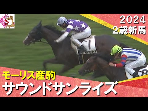 サウンドサンライズが荒れた馬場もろともせず直線突き抜けデビュー勝ち！浜中騎手「「しぶとかったです」　2024年 11月2日(土)２歳新馬　京都芝1600m　実況：服部優陽【カンテレ公式】