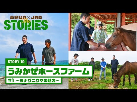 『萩野公介×JRA THE STORIES』「STORY10 うみかぜホースファーム」#1 ～ヨナグニウマの魅力～ | JRA公式