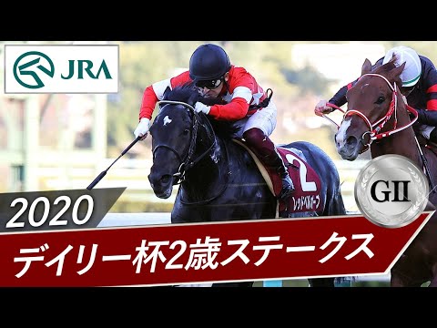 2020年 デイリー杯2歳ステークス（GⅡ） | レッドベルオーブ | JRA公式