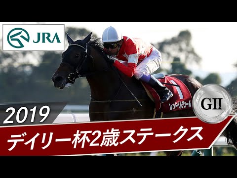 2019年 デイリー杯2歳ステークス（GⅡ） | レッドベルジュール | JRA公式