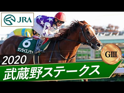 2020年 武蔵野ステークス（GⅢ） | サンライズノヴァ | JRA公式