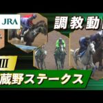 【調教動画】2024年 武蔵野ステークス|JRA公式