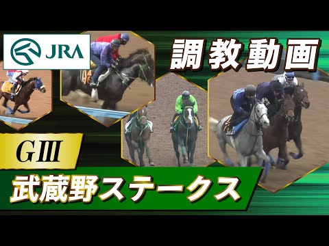 【調教動画】2024年 武蔵野ステークス｜JRA公式