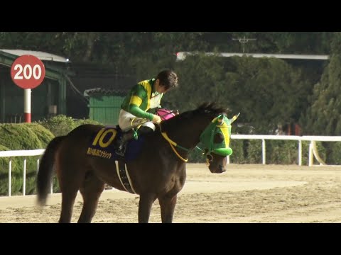 アタック！地方競馬｜第293回｜JBC PLAYBACK｜NAR公式