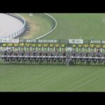 2024 QUEEN ELIZABETH II CUP (G1) | JRA Official