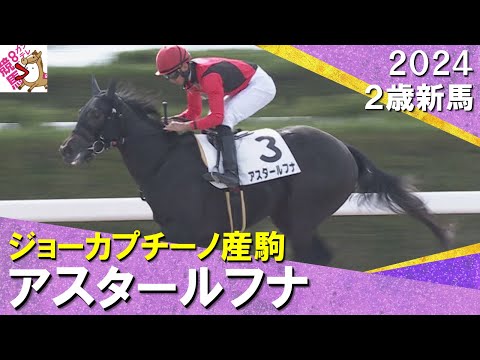 岩田望来騎手「根性を見せてくれました」ジョーカプチーノ産駒アスタールフナが差し返してデビュー勝ち！2024年 11月10日(日)２歳新馬　京都ダート1400m　実況：石田一洋【カンテレ公式】