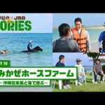 『萩野公介×JRA THE STORIES』「STORY10 うみかぜホースファーム」#2 ~沖縄在来馬と海で遊ぶ~ | JRA公式