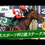 2020年 東京スポーツ杯2歳ステークス(GⅢ) | ダノンザキッド | JRA公式