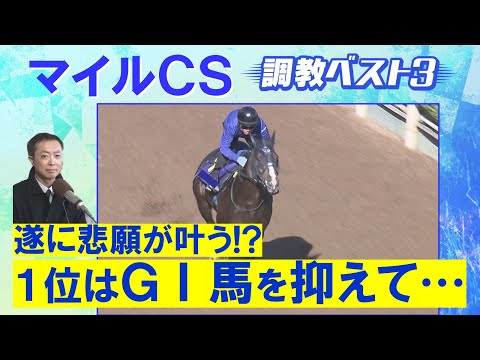 【“欧州最強マイラー”チャリンの調教も徹底解説】マイル頂上決戦！競馬エイト・高橋賢司トラックマンの調教解説＜マイルチャンピオンシップ(ＧⅠ)＞