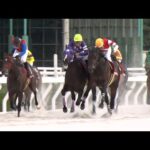 アタック!地方競馬|第294回|豪華メンバーが激闘!楠賞!|NAR公式
